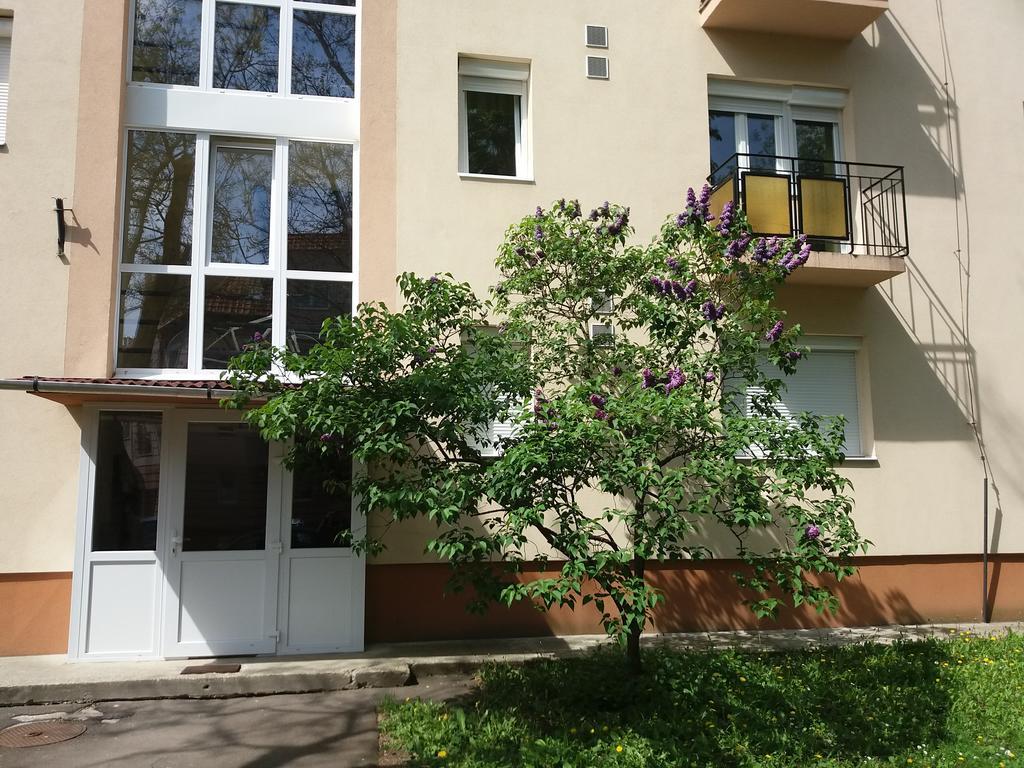 Like Apartman Eger Exteriér fotografie